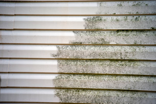 Affordable siding repair and maintenance services in Plover, WI